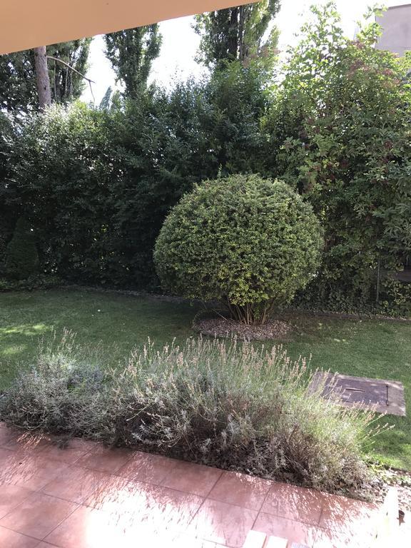 Apartment Jane Senec Dış mekan fotoğraf